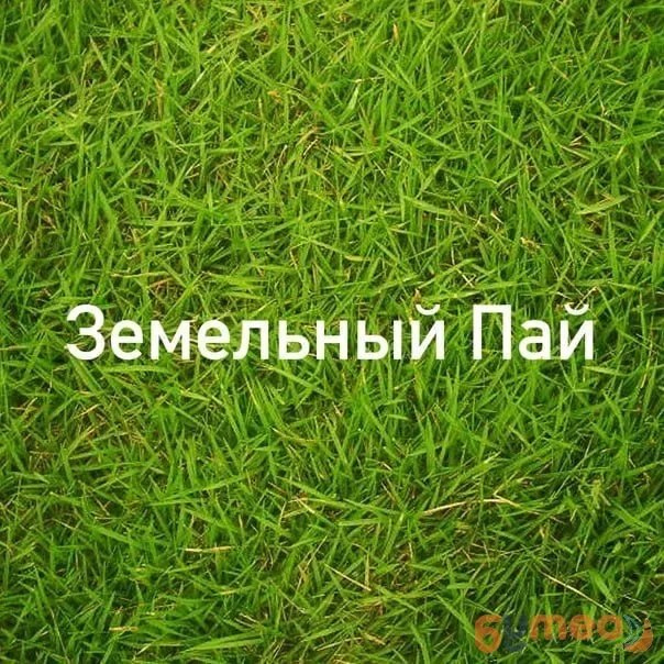 Продам земельный пай