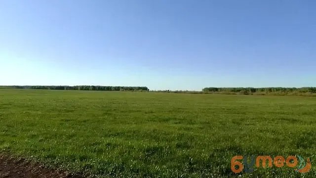 Продам земельный пай