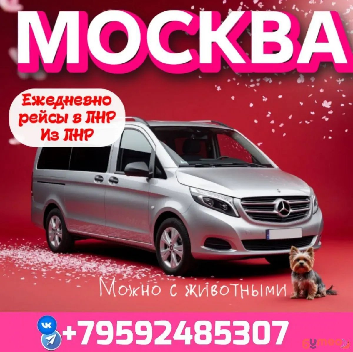ЕЖЕДНЕВНЫЕ ПАССАЖИРСКИЕ ПЕРЕВОЗКИ